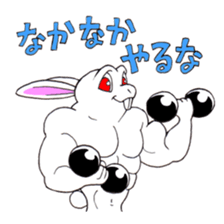 Macho Rabbit sticker #3819623