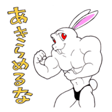 Macho Rabbit sticker #3819630