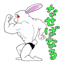Macho Rabbit sticker #3819637