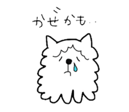 cotton cat sticker #3821460