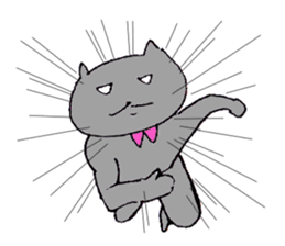 Pink collar cat sticker #3824364