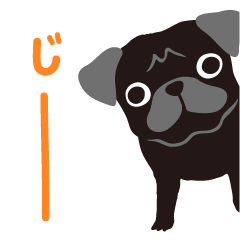 PUG!!