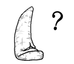 Strange carrot? sticker #3829386