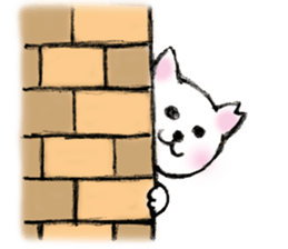 Shiro chan of Stray cat sticker #3830256