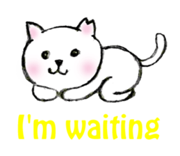 Shiro chan of Stray cat sticker #3830278