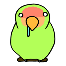 Kozakura-san a Peach-faced Lovebird sticker #3831091