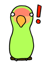 Kozakura-san a Peach-faced Lovebird sticker #3831096
