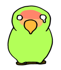 Kozakura-san a Peach-faced Lovebird sticker #3831100