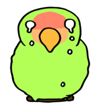 Kozakura-san a Peach-faced Lovebird sticker #3831101