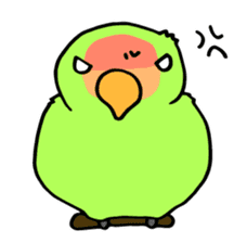 Kozakura-san a Peach-faced Lovebird sticker #3831103