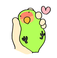Kozakura-san a Peach-faced Lovebird sticker #3831114