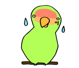 Kozakura-san a Peach-faced Lovebird sticker #3831116
