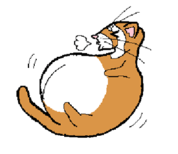 Ferret Maychan remake version sticker #3833483