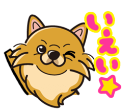 iinu - Pomeranian sticker #3837183