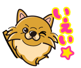 iinu - Pomeranian sticker #3837183