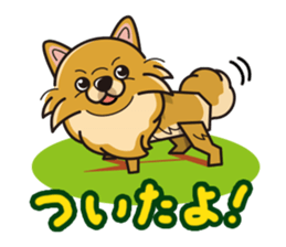 iinu - Pomeranian sticker #3837184