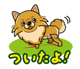 iinu - Pomeranian sticker #3837184