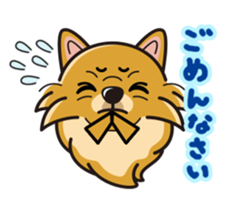 iinu - Pomeranian sticker #3837186