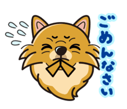 iinu - Pomeranian sticker #3837186