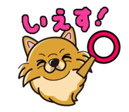 iinu - Pomeranian sticker #3837187