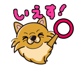 iinu - Pomeranian sticker #3837187
