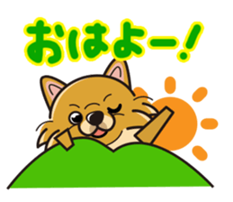 iinu - Pomeranian sticker #3837189