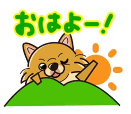 iinu - Pomeranian sticker #3837189