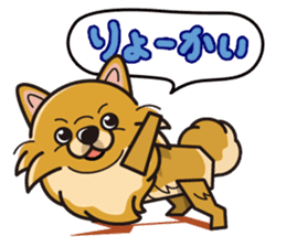iinu - Pomeranian sticker #3837191