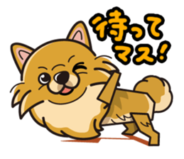 iinu - Pomeranian sticker #3837193