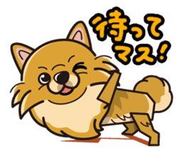 iinu - Pomeranian sticker #3837193