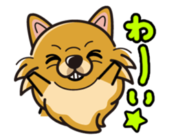 iinu - Pomeranian sticker #3837194