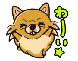 iinu - Pomeranian sticker #3837194