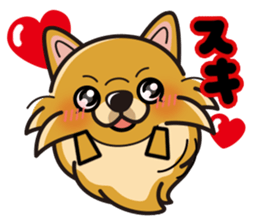 iinu - Pomeranian sticker #3837196