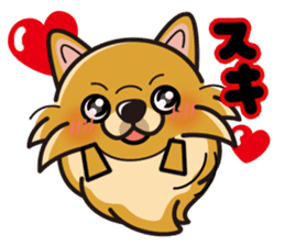 iinu - Pomeranian sticker #3837196
