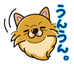 iinu - Pomeranian sticker #3837197