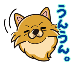 iinu - Pomeranian sticker #3837197