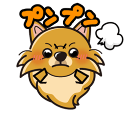 iinu - Pomeranian sticker #3837198