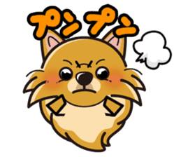 iinu - Pomeranian sticker #3837198