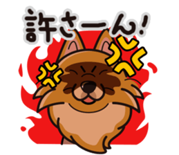 iinu - Pomeranian sticker #3837199