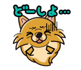 iinu - Pomeranian sticker #3837200