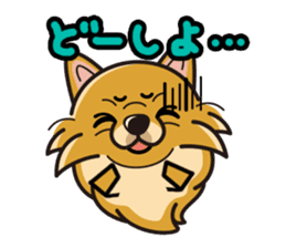 iinu - Pomeranian sticker #3837200