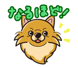 iinu - Pomeranian sticker #3837204