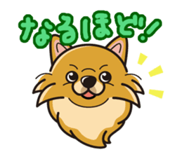 iinu - Pomeranian sticker #3837204