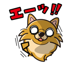 iinu - Pomeranian sticker #3837207