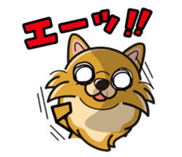 iinu - Pomeranian sticker #3837207