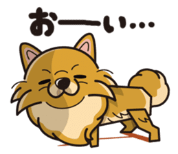 iinu - Pomeranian sticker #3837209