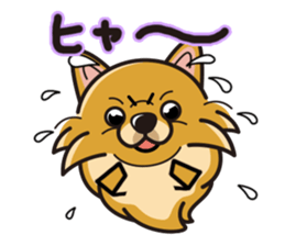 iinu - Pomeranian sticker #3837210