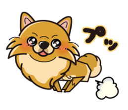 iinu - Pomeranian sticker #3837211