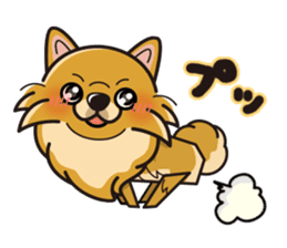 iinu - Pomeranian sticker #3837211
