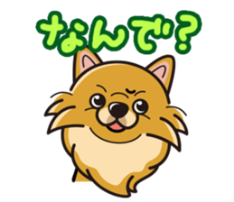 iinu - Pomeranian sticker #3837212